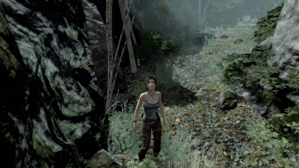 Tomb Raider: Definitive Edition